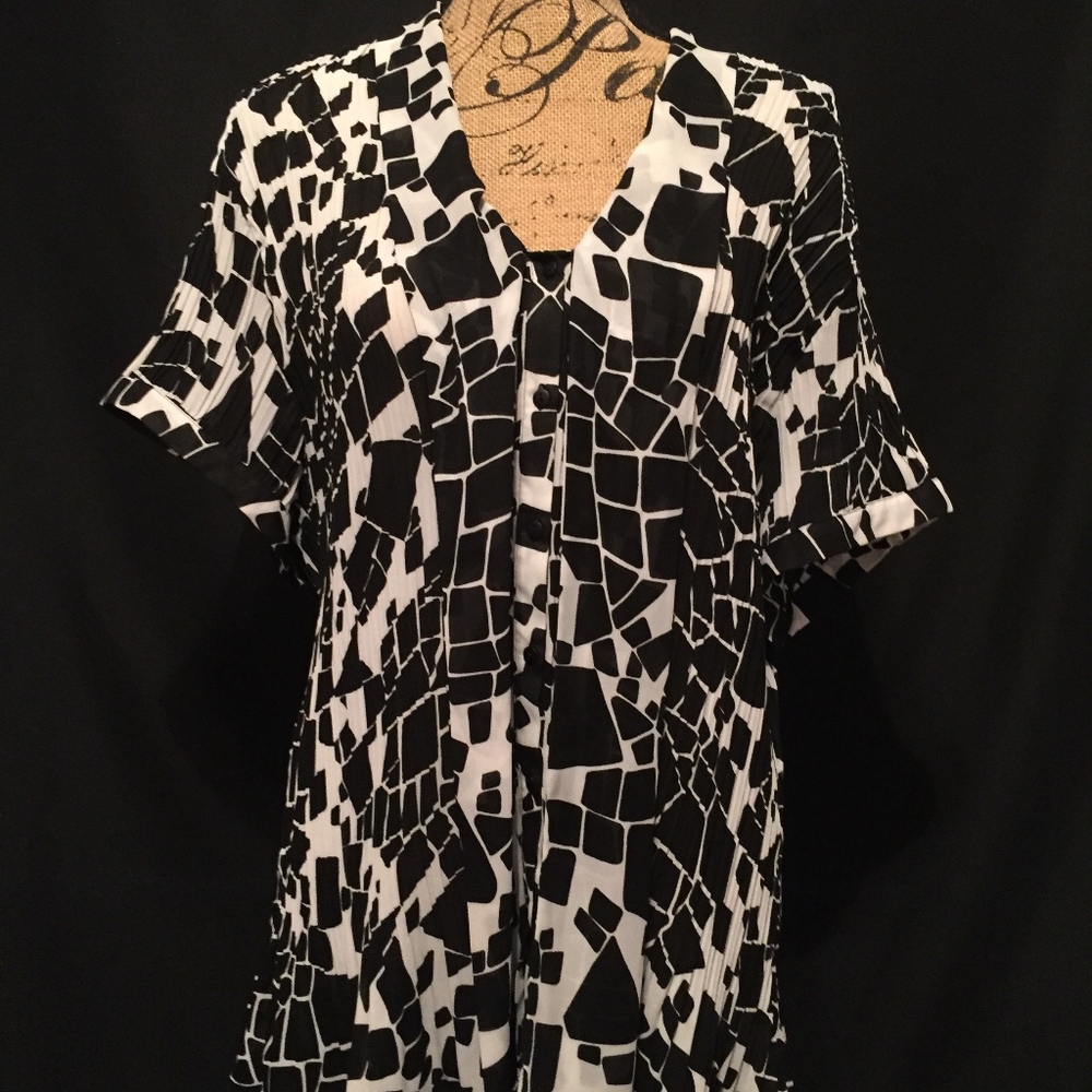 Black and White Blouse